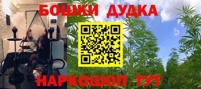 mix Будённовск