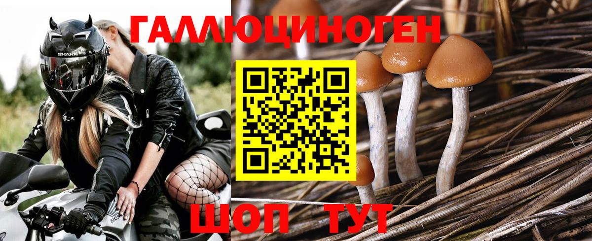 Электросталь  Псилоцибиновые грибы прущие грибы  Вход с VPN 